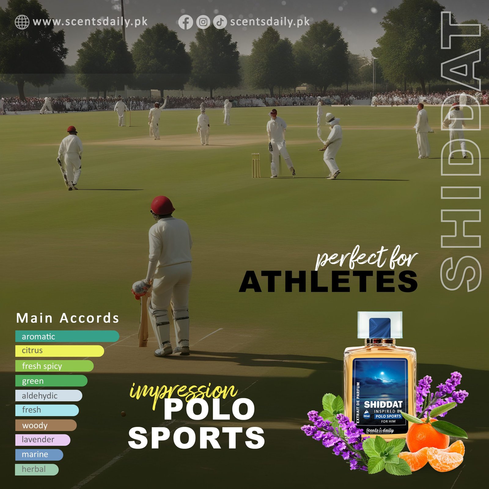 Shiddat impression of Polo Sports